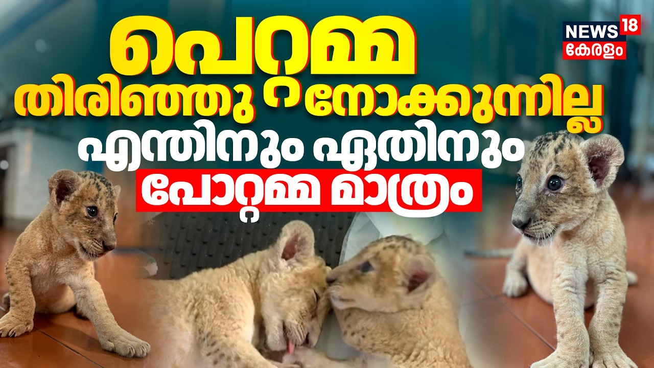 പെറ്റമ്മ തിരിഞ്ഞുനോക്കുന്നില്ല ....എന്തിനും ഏതിനും പോറ്റമ്മ മാത്രം | Thiruvananthapuram Zoo | N18V
