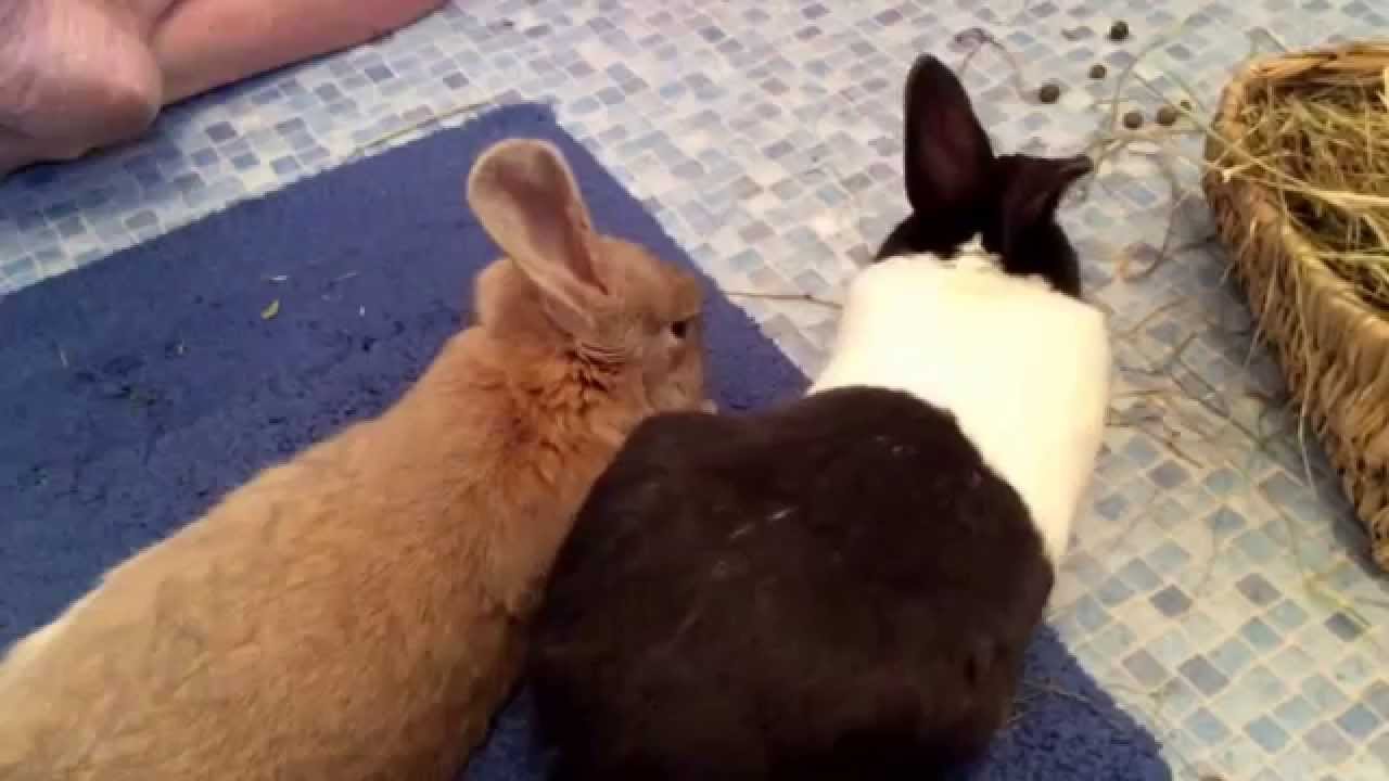 Obi & Bea - 5th date going well