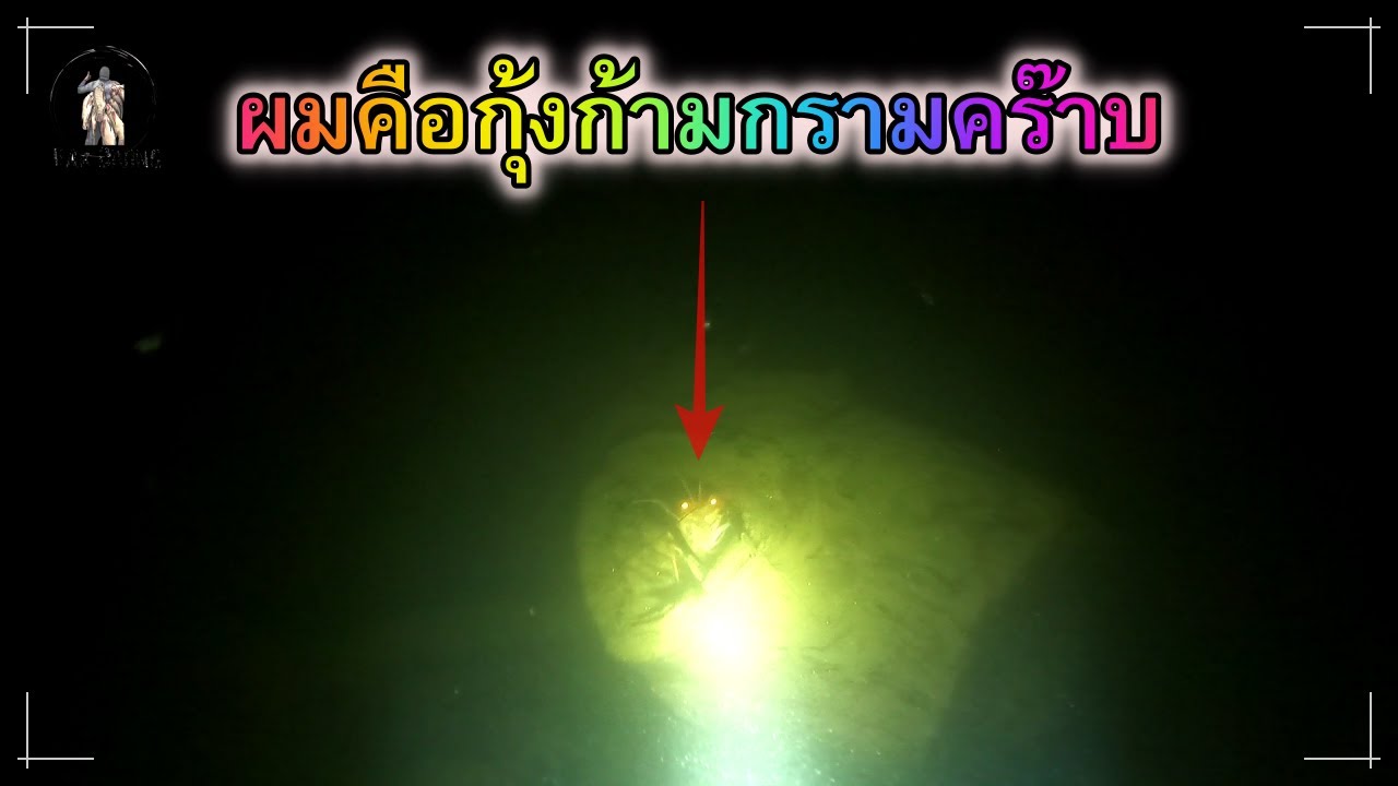 ดำกุ้ง อ่างเก็บนํ้ามวกเหล็ก สระบุรี พอได้ต้มใส่มาม่าครับพี่น้อง