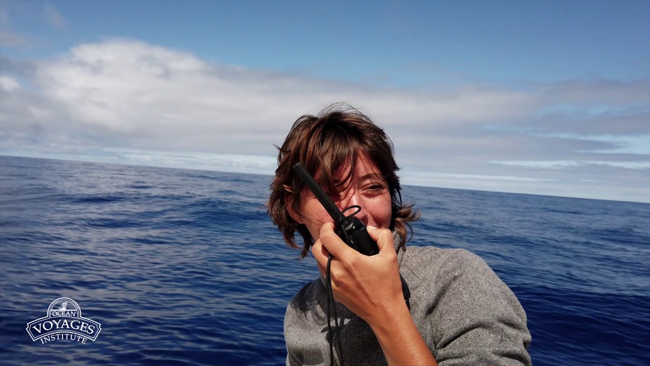 K.W.A.I. Pacific Clean-Up - Ocean Voyages Institute