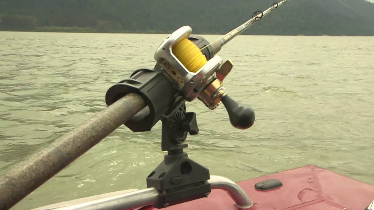 Sturgeon Fishing on the Fraser River