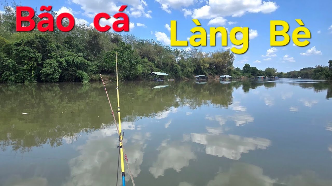Câu  cá sông  Bé   cá ăn  không  kịp  bóp mồi....