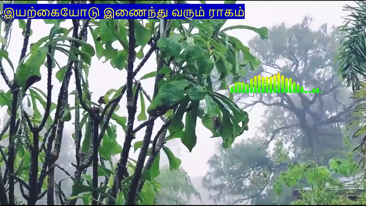 Thopporam thottil.....தோப்போரம் தொட்டில் கட்டி....