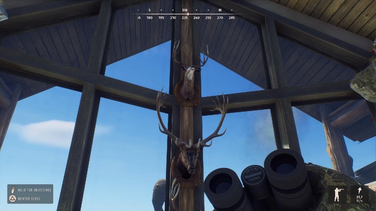 Way of the Hunter MY INSANE TROPHY LODGE 19 5 STAR ANIMALS