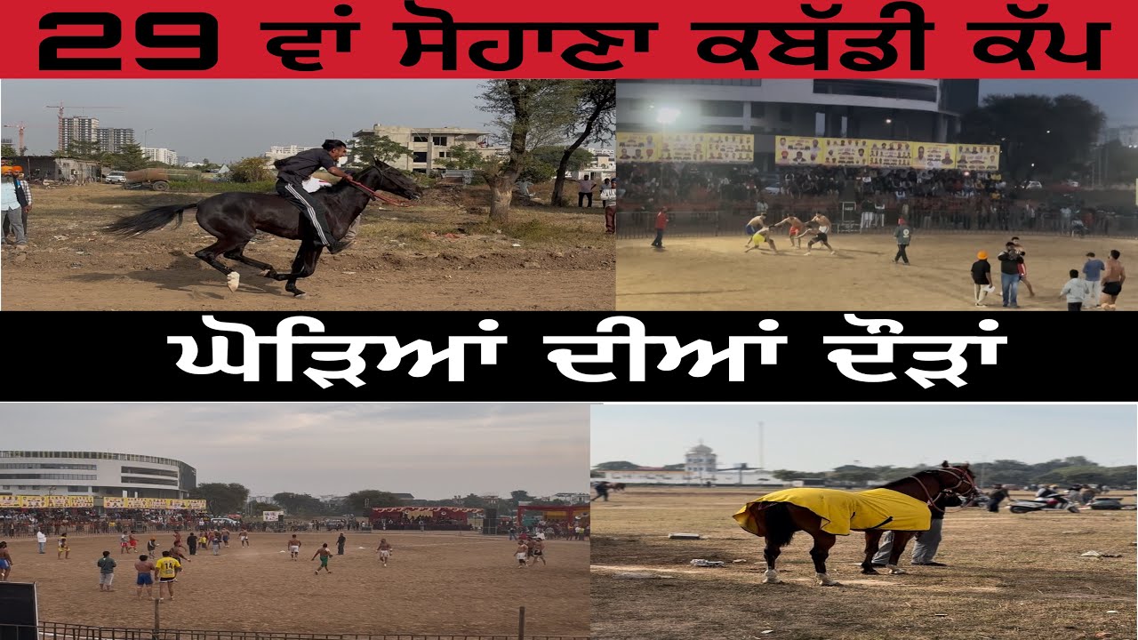 29 ਵਾਂ ਸੋਹਾਣਾ ਕਬੱਡੀ ਕੱਪ । ਘੋੜਿਆਂ ਦੀਆਂ ਦੌੜਾਂ । sohana kabbadi cup 2025.