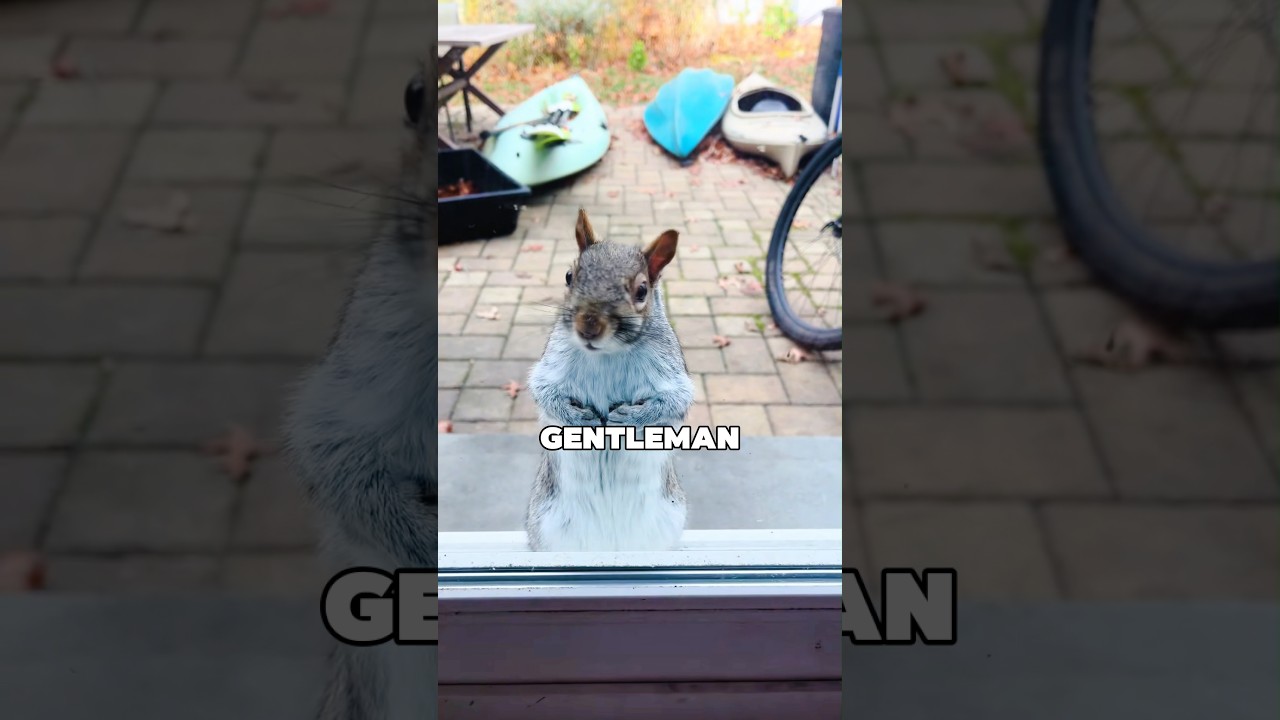 Он, оказывается, постоянный клиент🤣