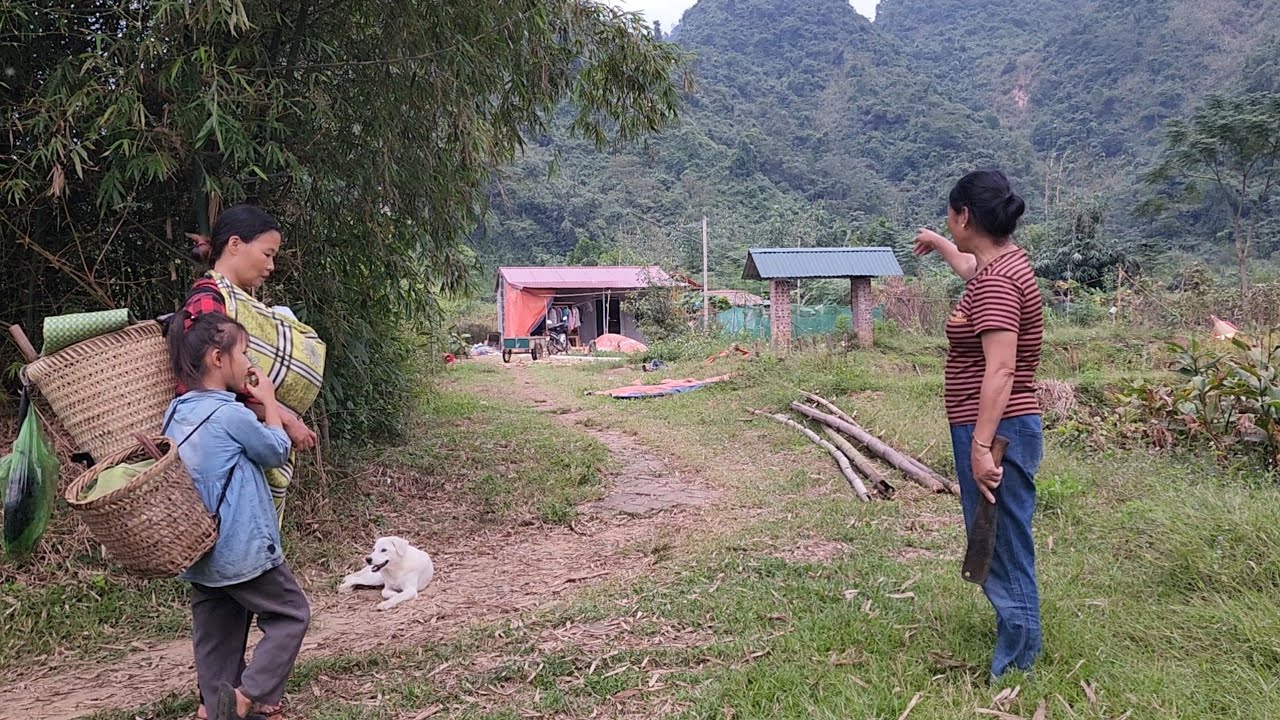 Single Mom's 90 Day CHALLENGE Renovating Abandoned Houses in the Woods | Lý Tiểu Sao