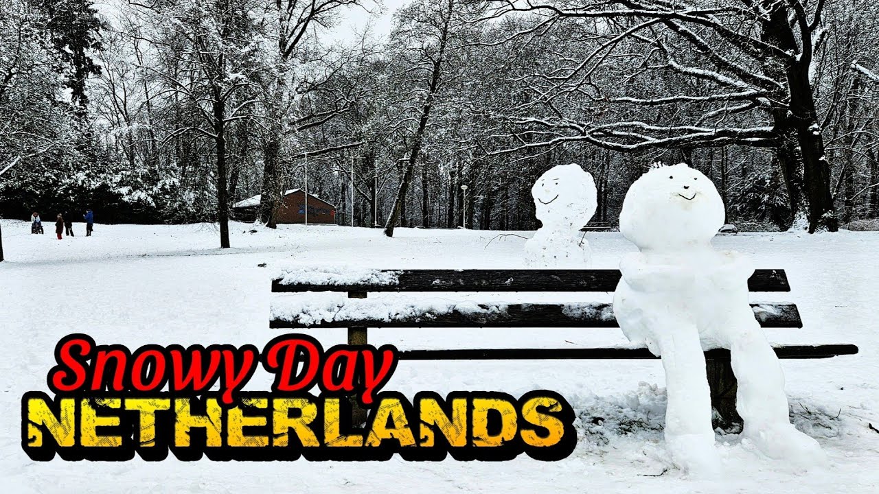 Winter in the Netherlands | 4K | Snowy Park Walk | Pure Joy | Nijmegen