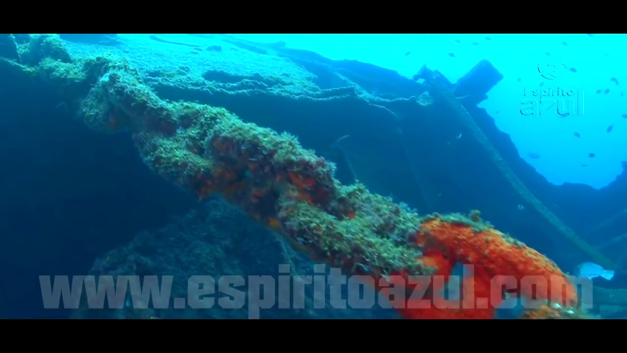 Espírito Azul dive center - Azores