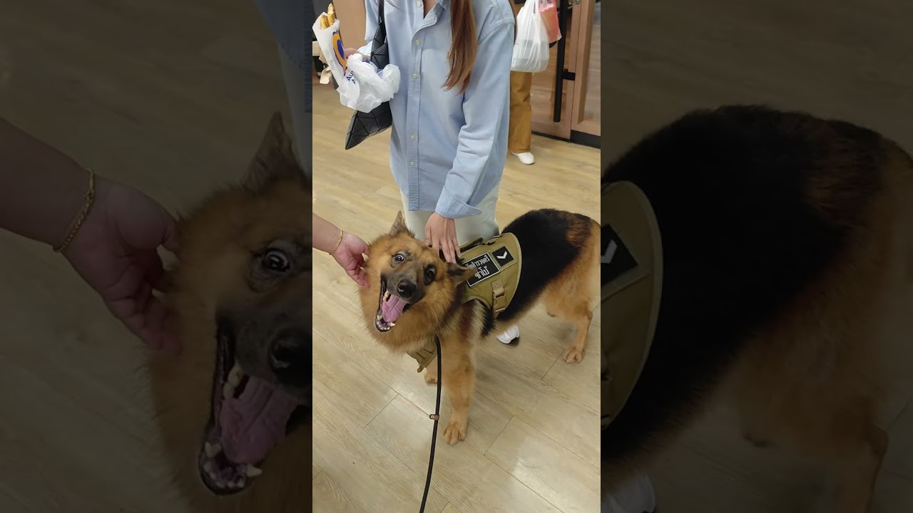 ใครยังไม่เคยเจอหนู ตามมางานนี้เลยฮับ 💕