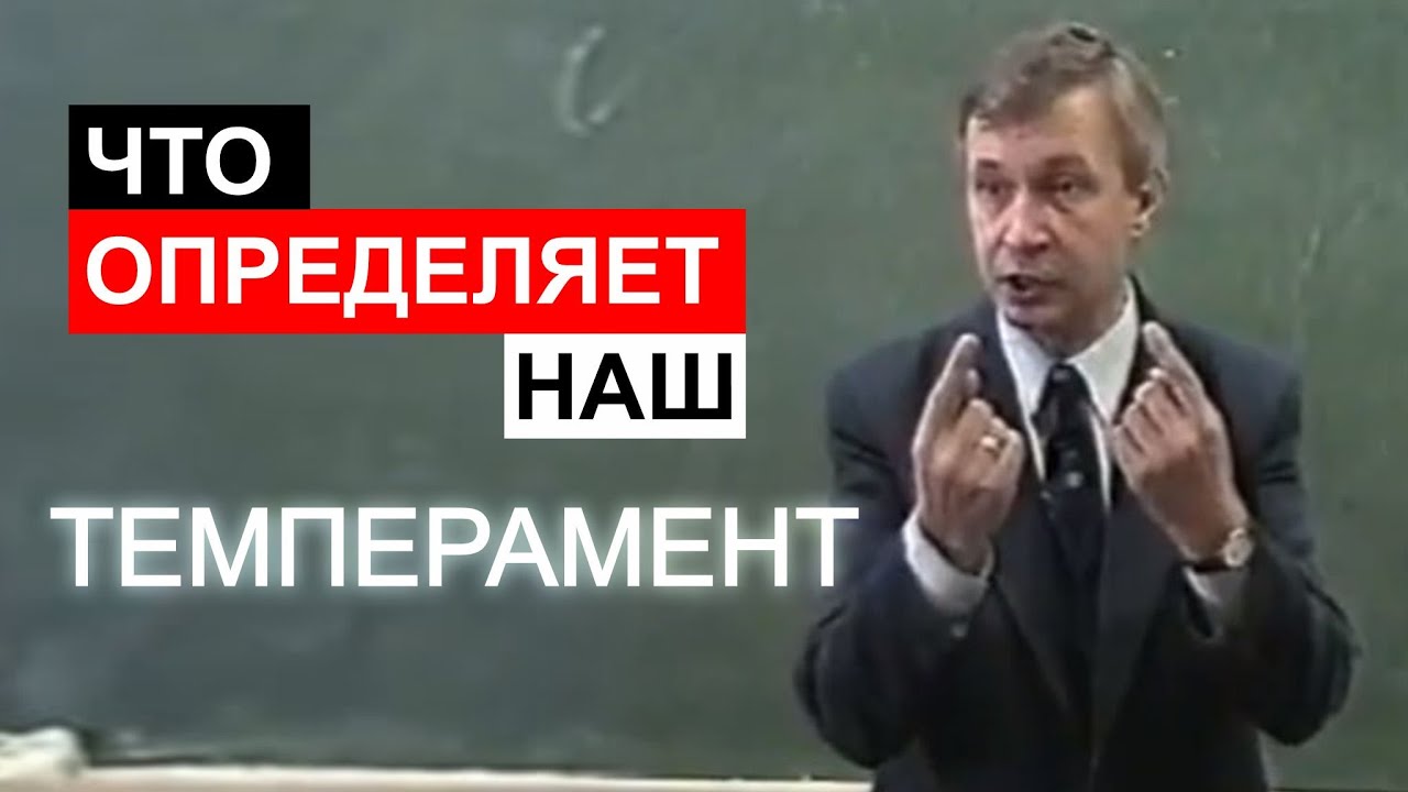 Что определяет наш темперамент?