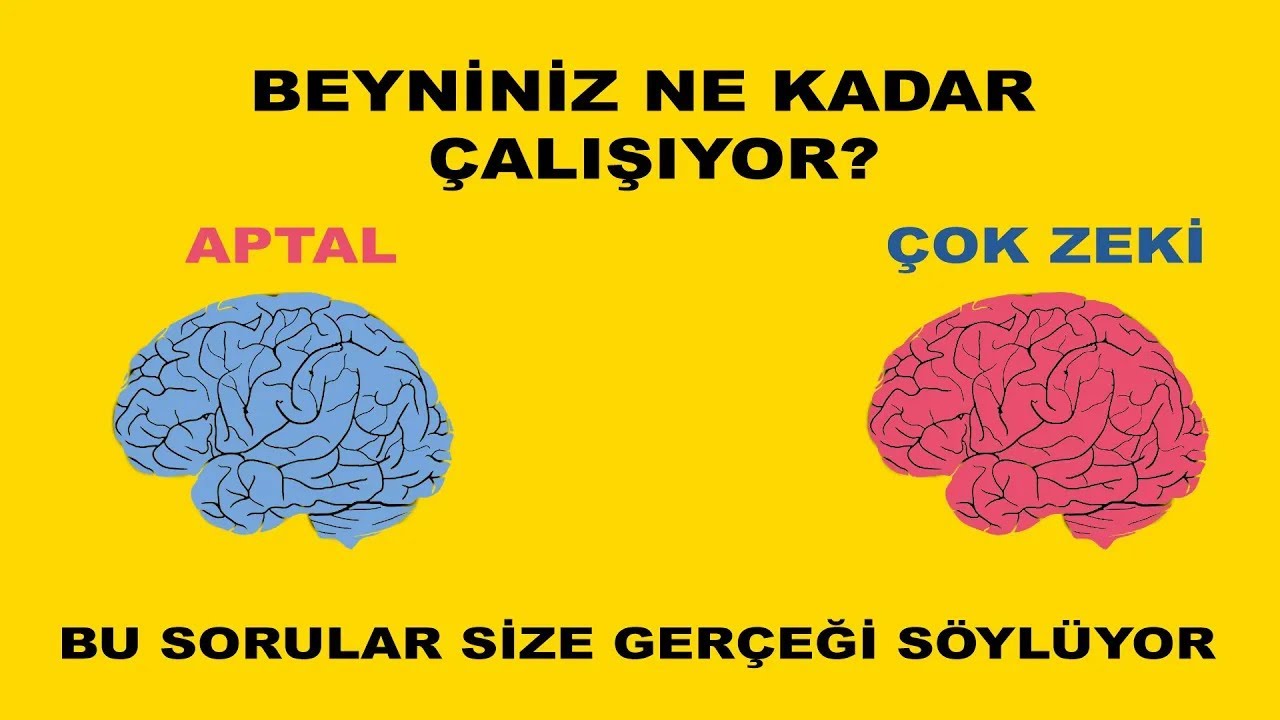 Zeka Seviyenizi G&ouml;steren 6 Zorlayıcı Soru İle Hızlı Zeka Testi