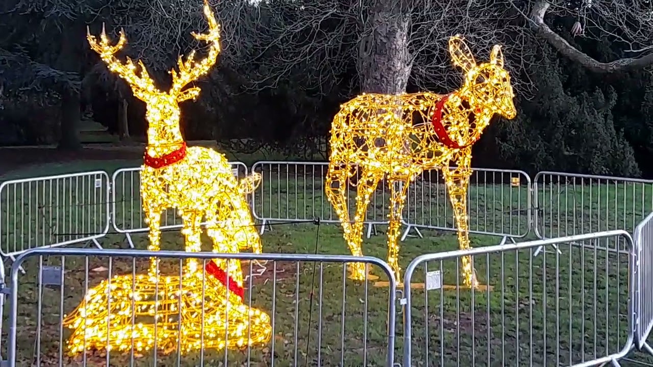 Christmas lights. ❤ 