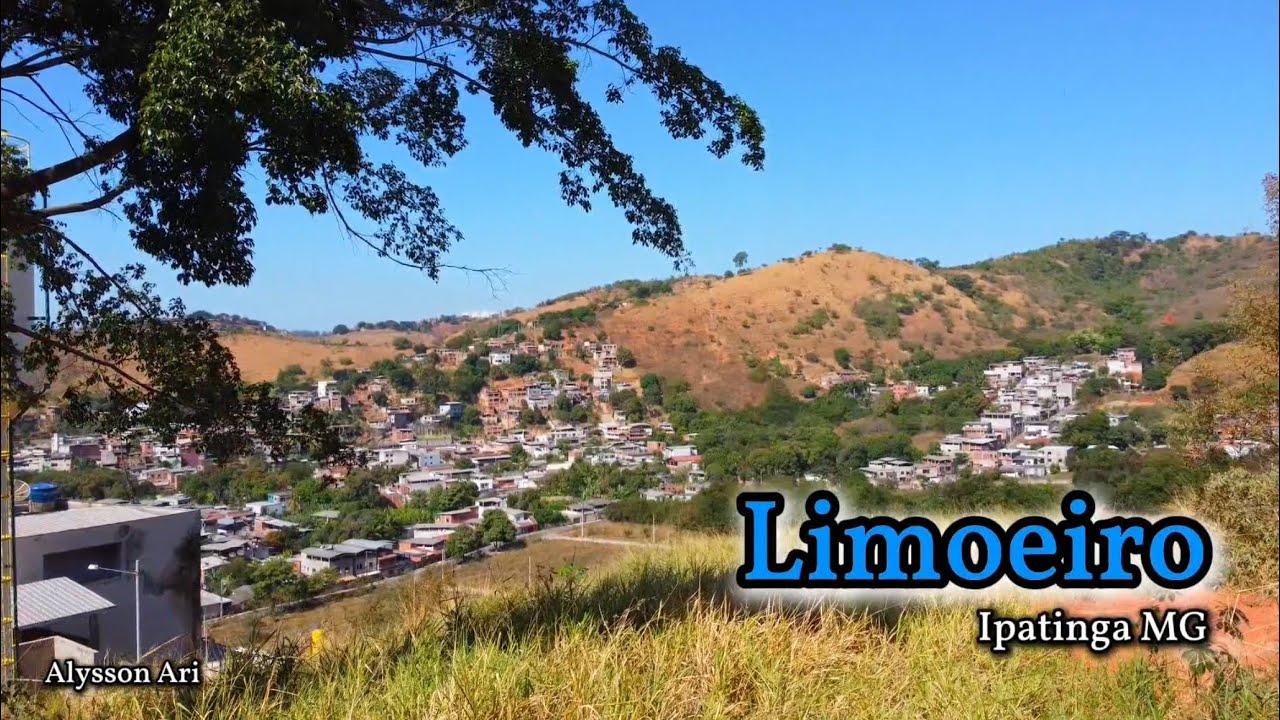 O Limoeiro de Ipatinga MG
