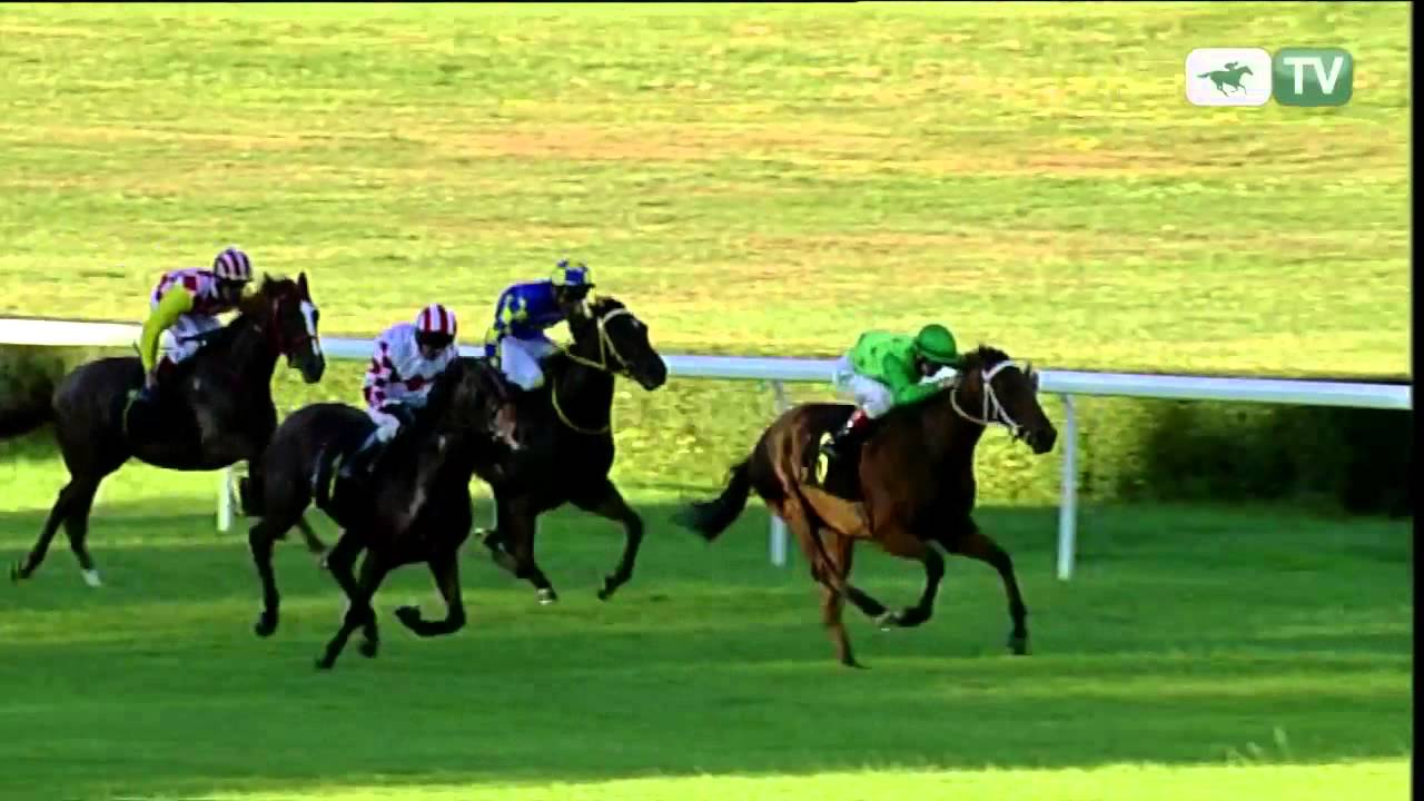 03.08.2013 (D25; G8; tor: 2,8 26&deg;C)