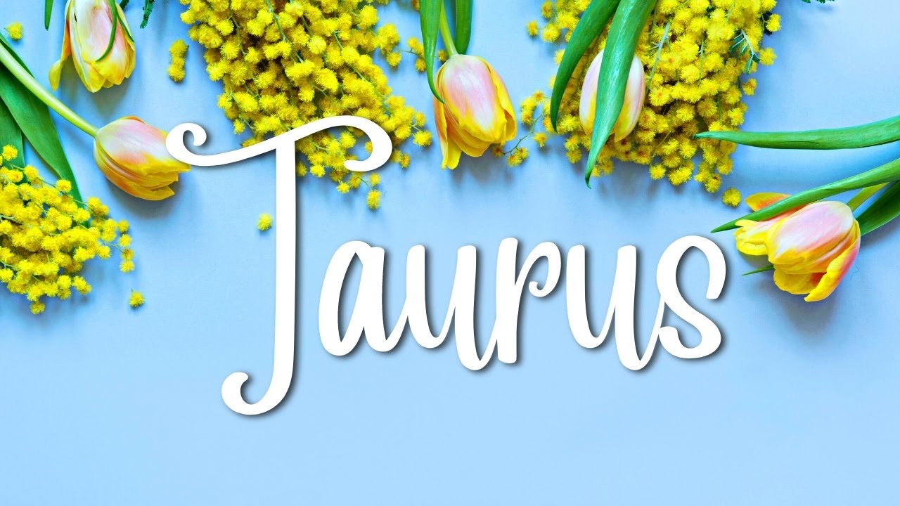 TAURUS🌼Divine Partner Appears &Will Change Everything ~ Love Tarot