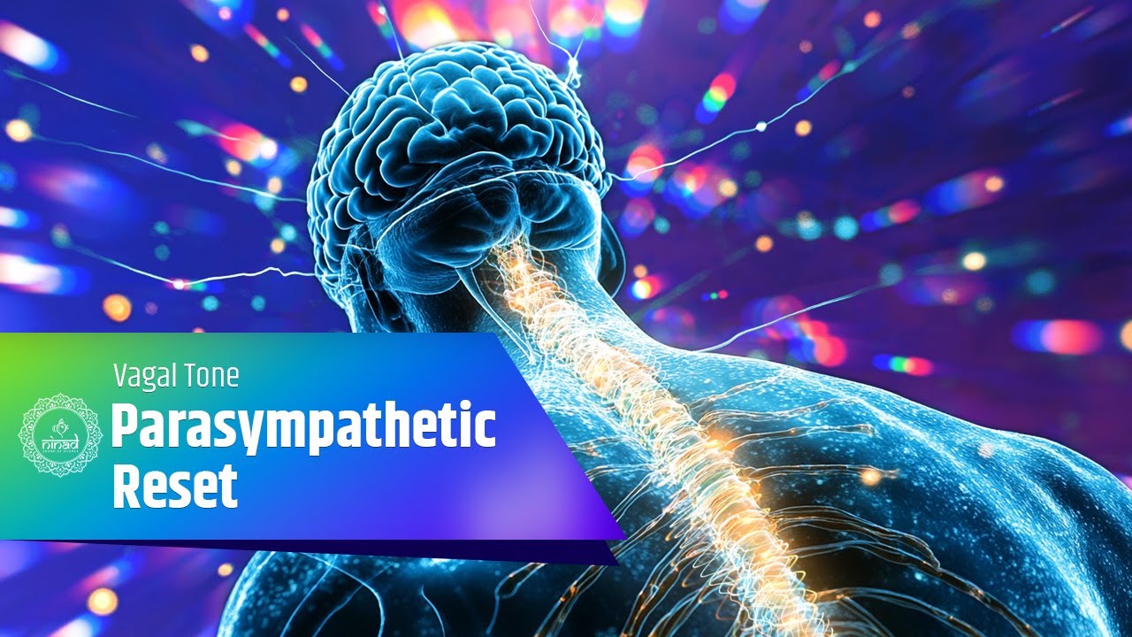 Parasympathetic Reset | Relax, Repair, and Restore with 432Hz Frequencies | Vagal Tone