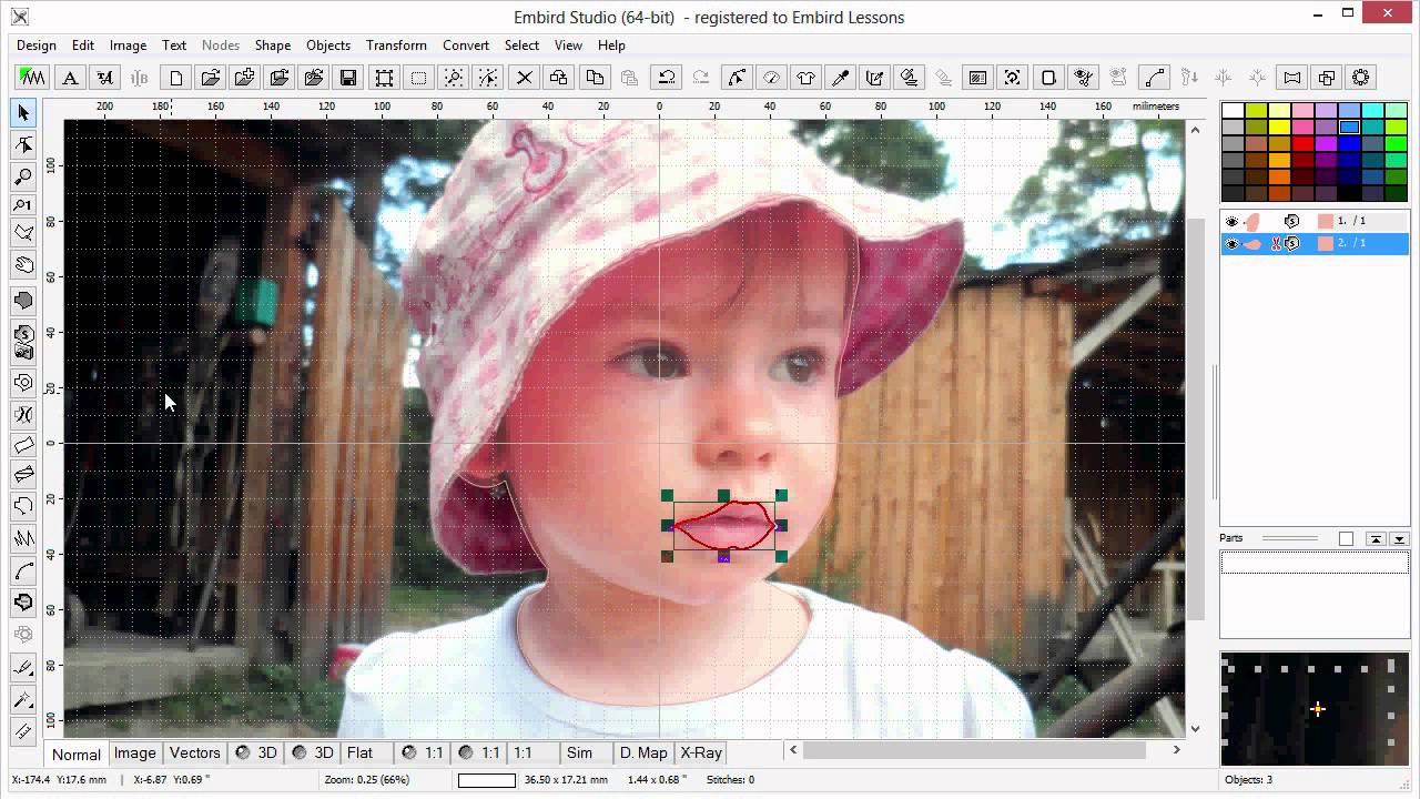 Machine Embroidery Digitizing - How to Create Portrait with Embird Sfumato Stitch
