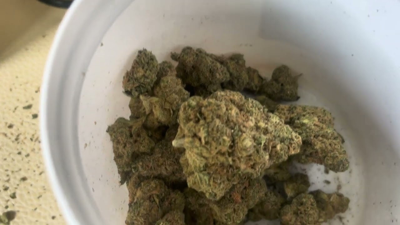 Pedanios 31/1 cosmic cream 