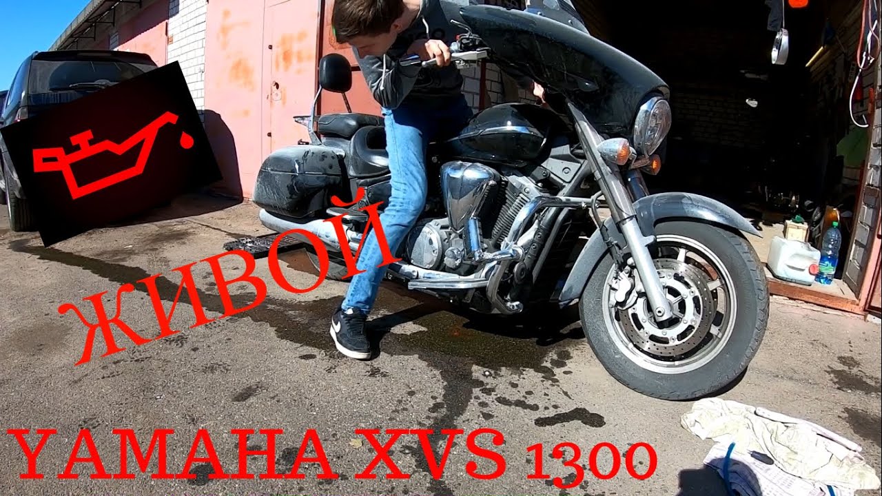 ///YAMAHA XVS 1300 ///  Замена масла и антифриза, проблема с давлением масла !!!!