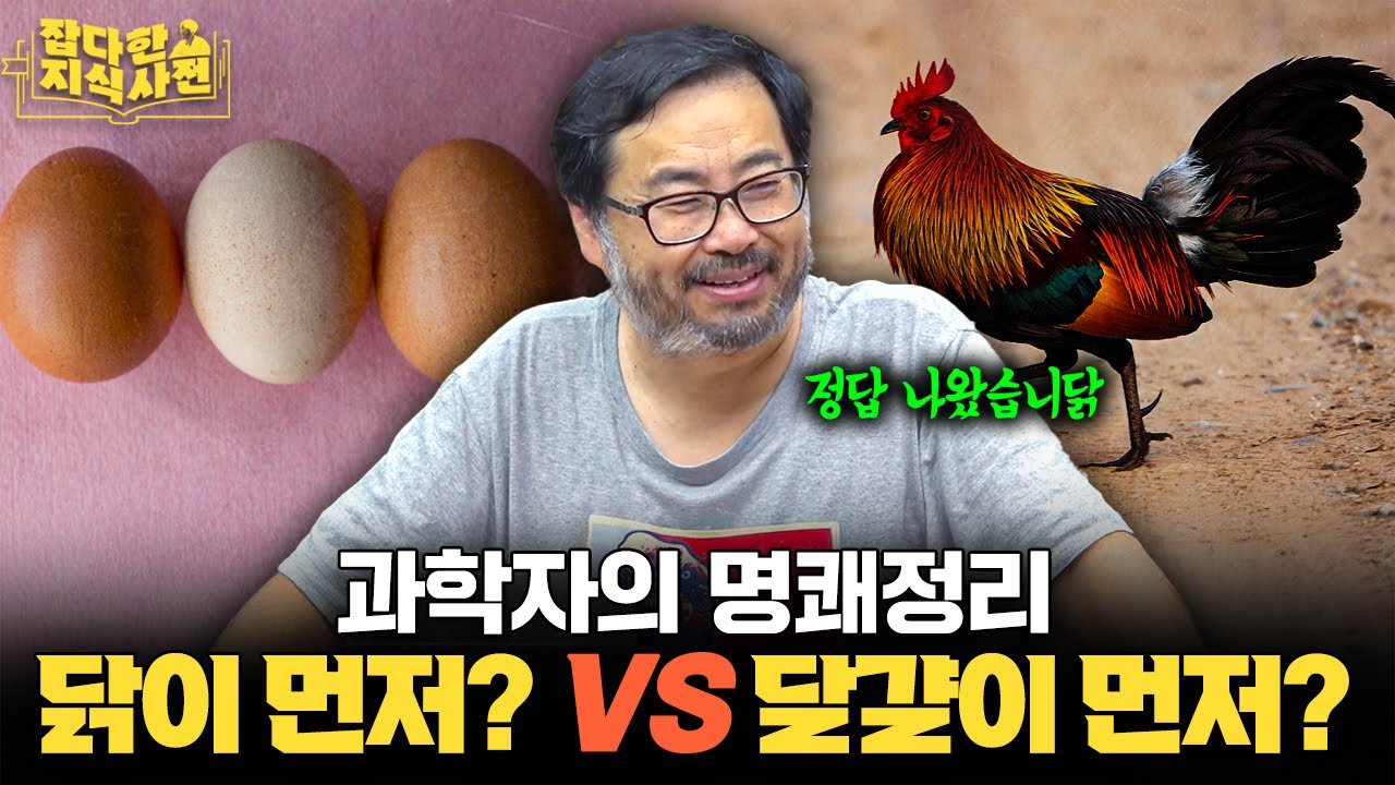 치킨을 그렇게 먹었는데 이걸 몰랐네... 닭에 대한 정말 놀라운 사실들 🐔