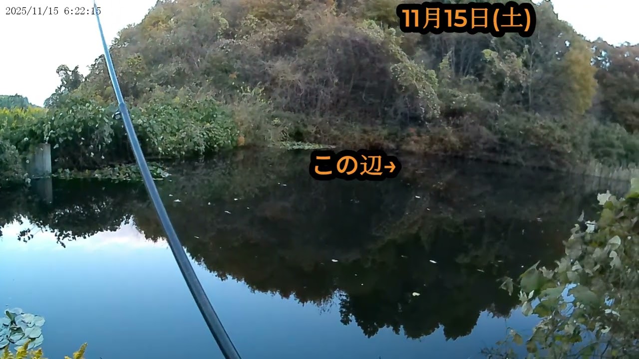謎生物の水面バチャバチャ