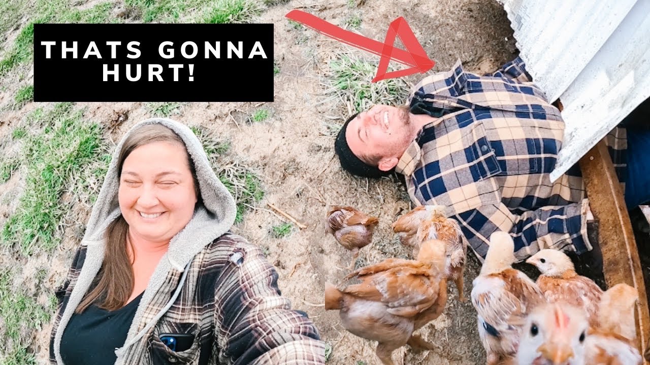 OUCH! This Was A BAD Idea | Moving Meat Chickens