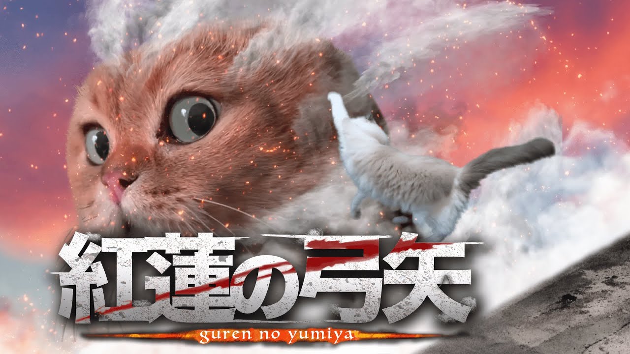 猫が歌ってみた「紅蓮の弓矢」Cat singing 