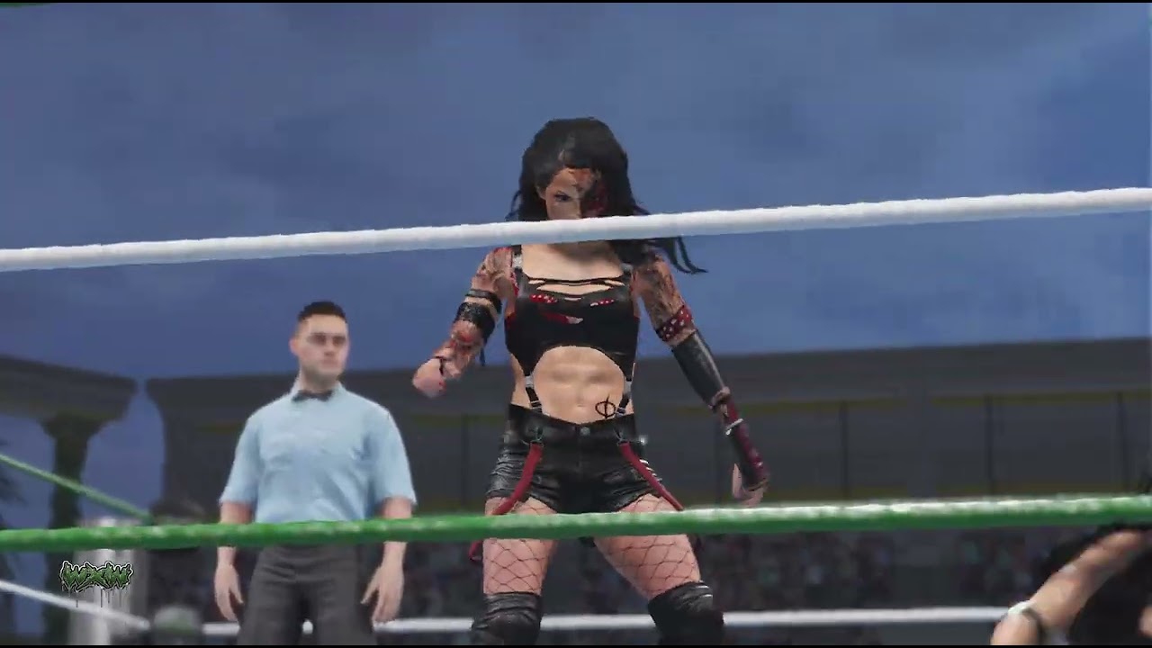 COO Skye v Akira