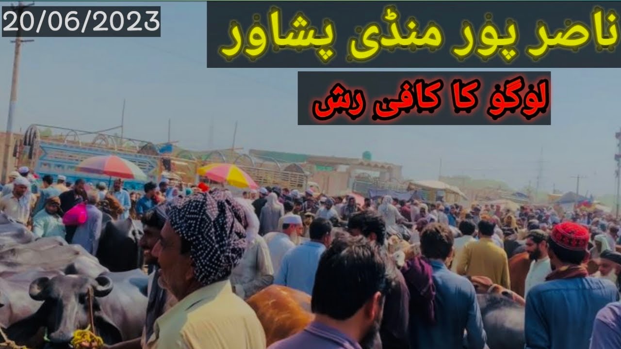 Mandi me Maal he Maal / Nasirpur / Kala Mandi Peshawar 2023