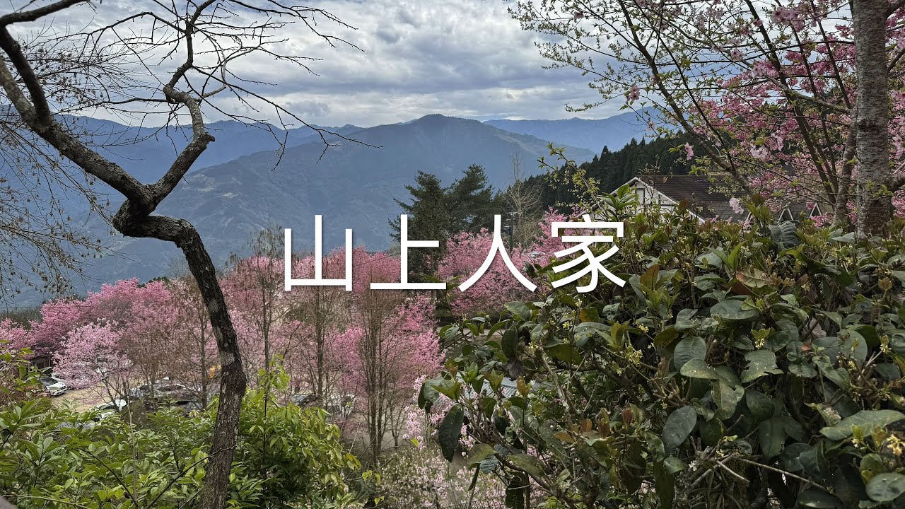 EP7│粉雪森林裡的雲海咖啡館│新竹最療癒的景觀美食餐廳-山上人家-雲海、森林、櫻花雨、秘境美食太驚喜了