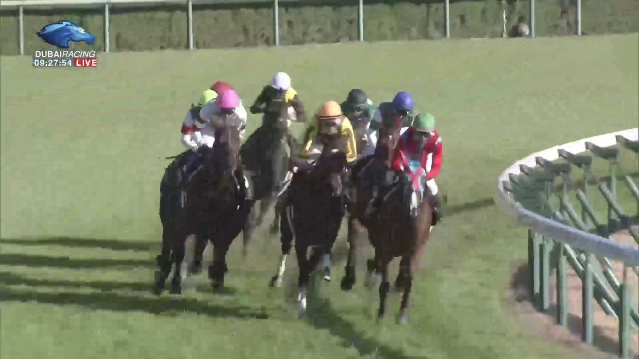 2020.12.06 Koyamaki Sho (JPN) - Daddy's Vivid