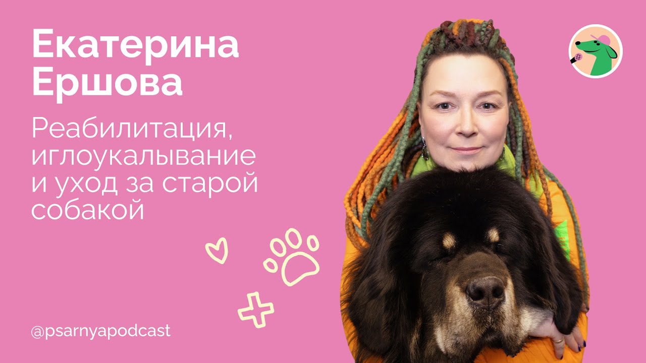Екатерина Ершова. Реабилитация, иглоукалывание и уход за старой собакой #podcast #dog