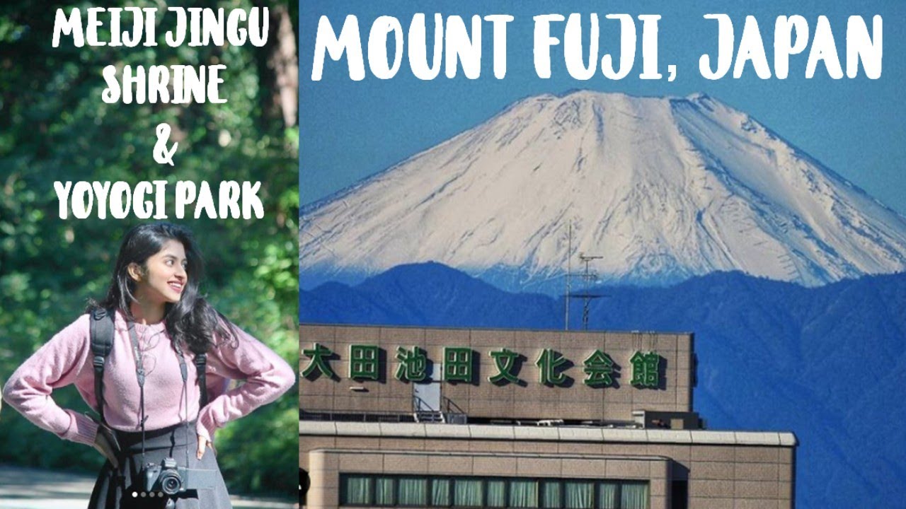 Mount Fuji | Yoyogi Park | Meiji Jingu Shrine | Indian in Japan | Day in my Life | Tokyo Vlog
