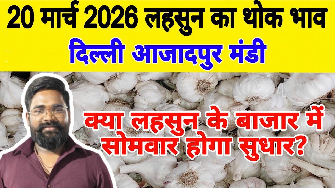 20 March 2026 | Today Garlic Market Price | Garlic Price The Shocking Prediction #mandirates