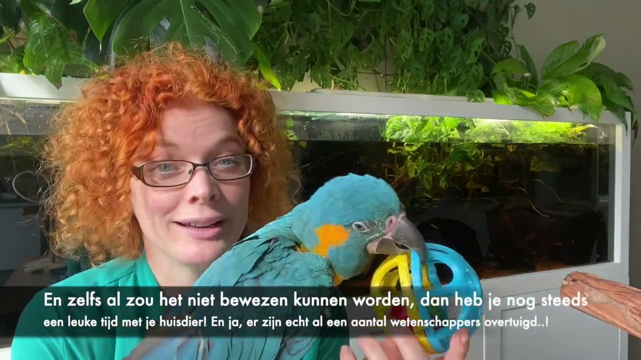 KENNISKNABBEL DIEREN COMMUNICATIE DL3