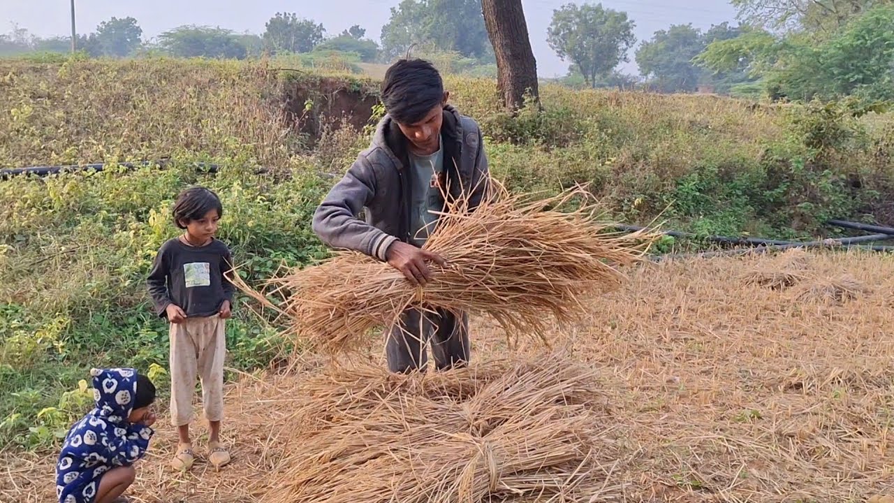 A day in village 