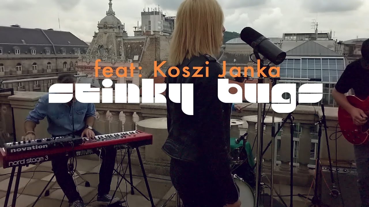 Nekem ez j&aacute;r | Majka | funk verzi&oacute; | ft.: Koszi Janka