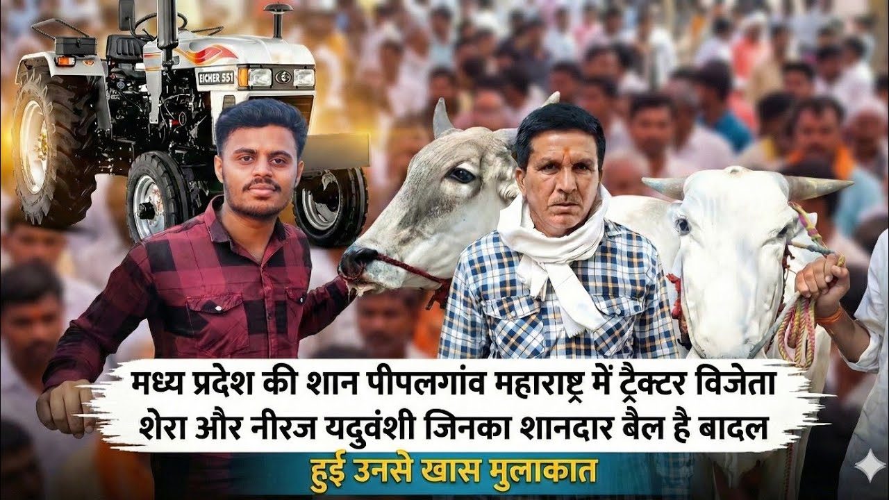ट्रैक्टर विजेता शेरा और नीरज यदुवंशी जिनका शानदार बैल है बादल हुई उनसे खास मुलाकात | #video #bull