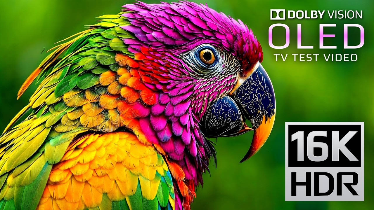 ONLY OLED TEST | 16K VIDEO ULTRA HD | Dolby Vision 16K HDR