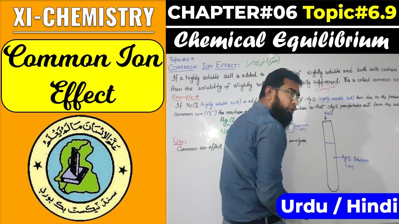 Common Ion Effect in Urdu/Hindi || CH#6 || XI-Chemistry || Sindh Board