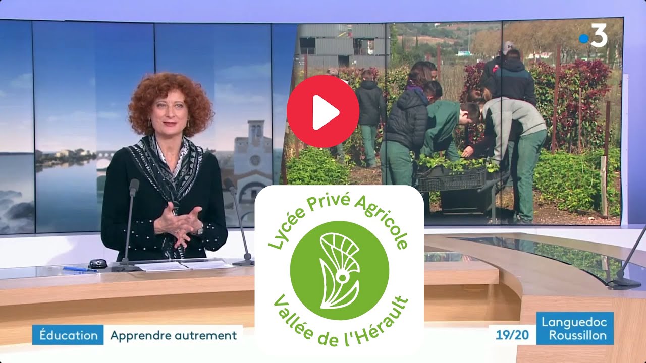 Se r&eacute;concilier avec l'&eacute;cole - France 3 