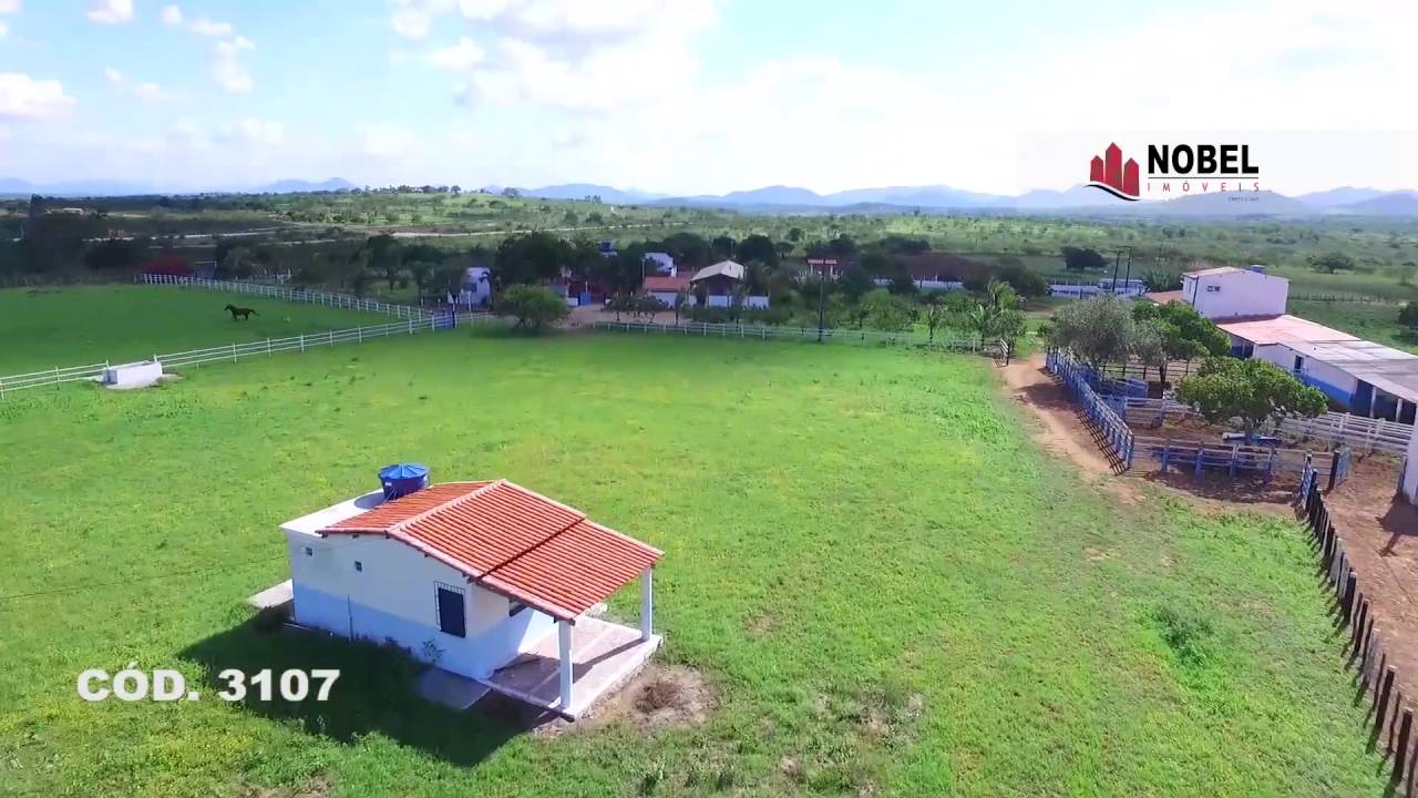 Sitio com 8 tarefas em Feira de Santana