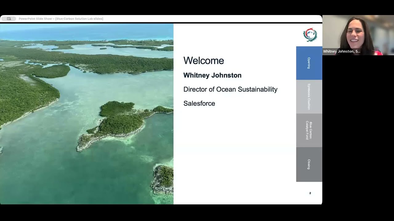 Solution Lab: Accelerating Finance & Scaling Opportunities for Blue Carbon