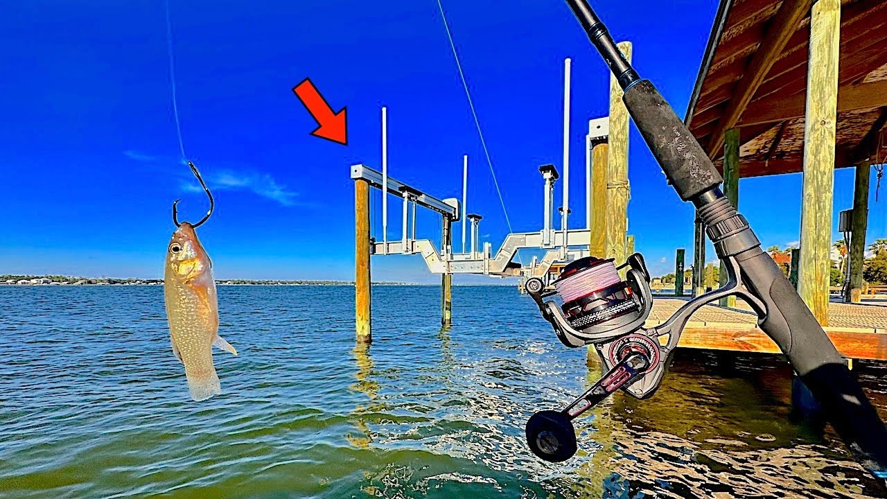 Tossed a LIVE! MUD MINNOW under the PIER and Caught THIS! [Catch, Clean, Cook]