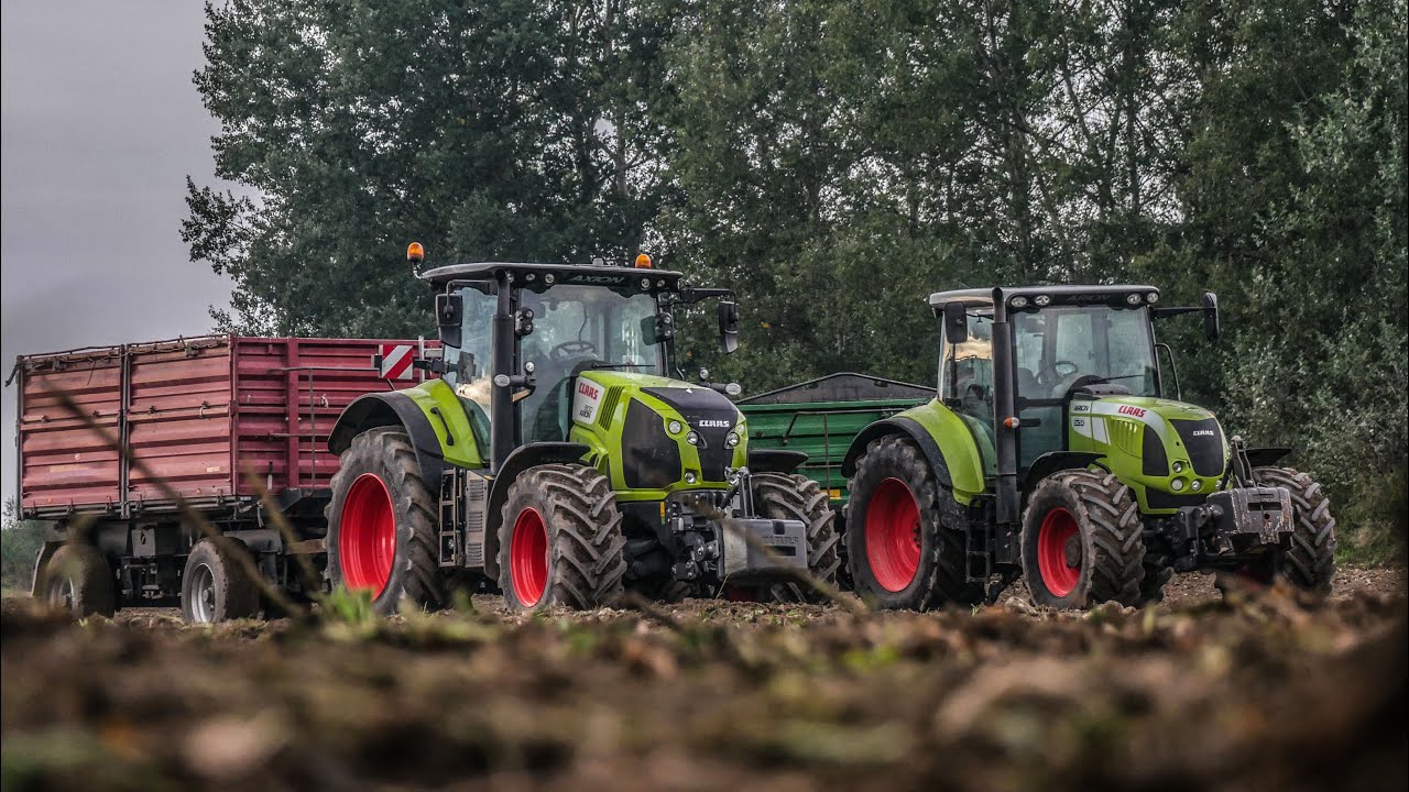 Wesele na Polu ✔🇵🇱 Kopanie Buraków w Trudnych Warunkach | GR Ciesielski | 4x Claas & Holmer |