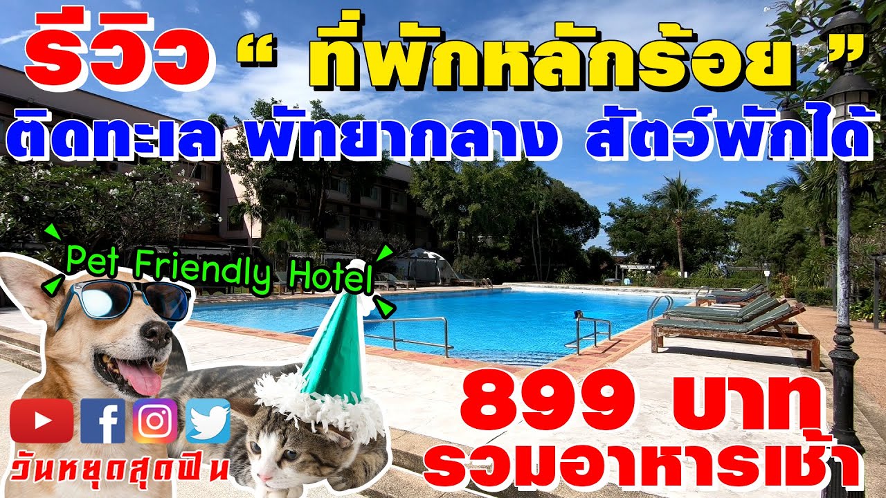 รีวิวที่พัก l EP.37 l หลักร้อย ติดทะเลพัทยา สัตว์พักได้ สระว่ายน้ำ รวมอาหารเช้า บาศญ่า บีช พัทยา