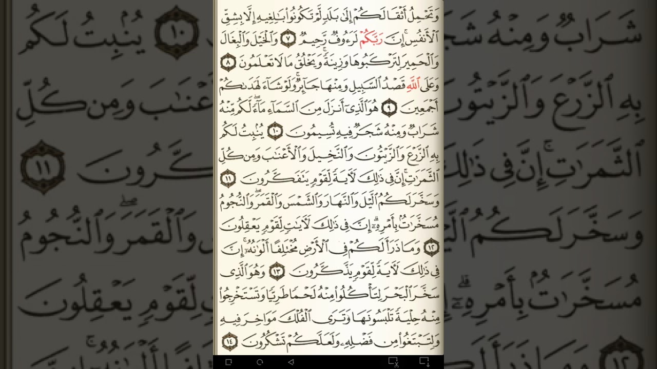ماهر المعيقلي سورة النحل مكتوبة صفحة 268 مصحف المدينة المنورة جودة عالية