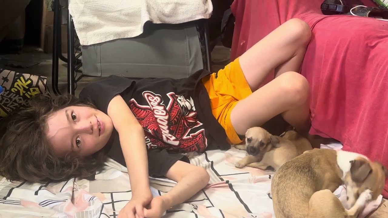 Fishing stories as told to puppies, Wander, Lloyd the Void and Drama