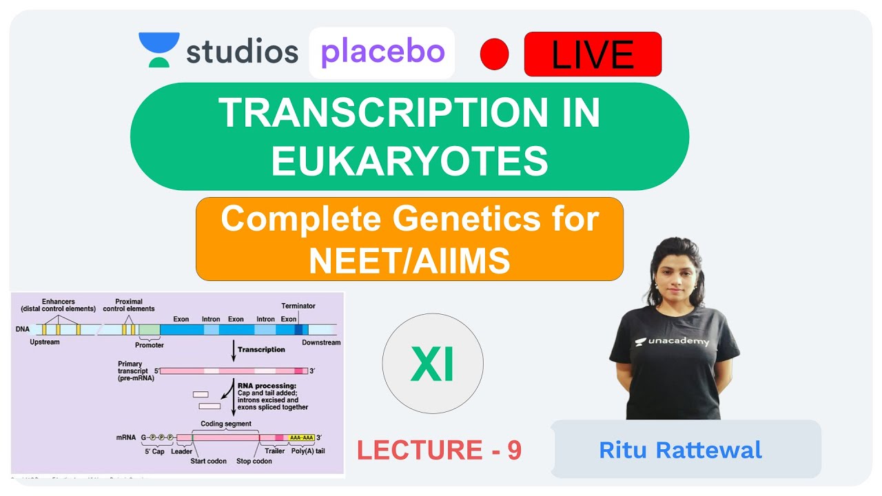 Phoenix 2.0: Biology Most Important Video for NEET 2025 | Udaan